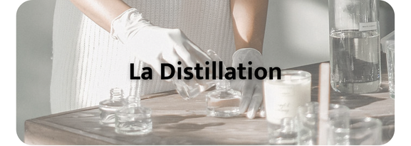 la distillation filière aromes parfums cosmétique